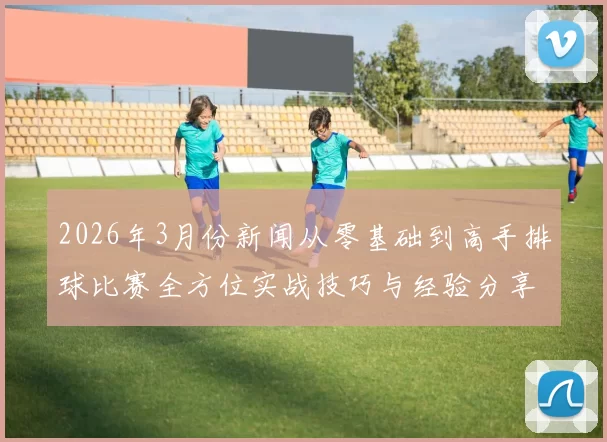 2026年3月份新闻从零基础到高手排球比赛全方位实战技巧与经验分享