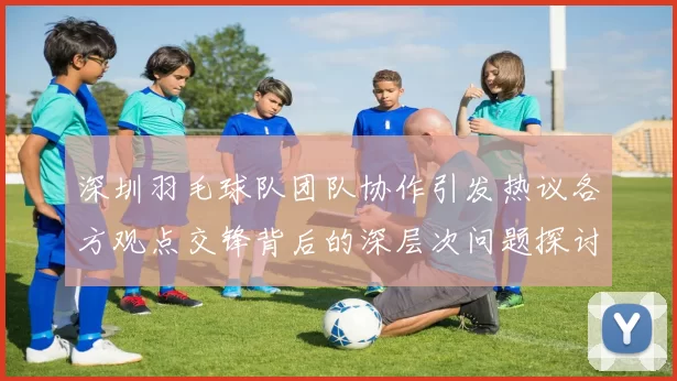 深圳羽毛球队团队协作引发热议各方观点交锋背后的深层次问题探讨
