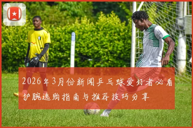2026年3月份新闻乒乓球爱好者必看护腕选购指南与推荐技巧分享