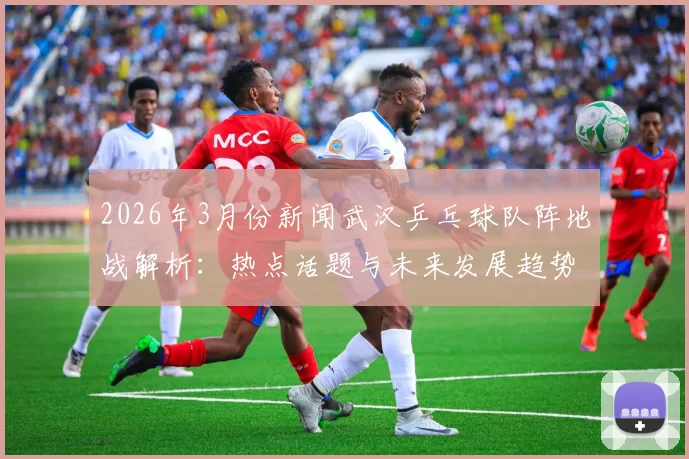 2026年3月份新闻武汉乒乓球队阵地战解析：热点话题与未来发展趋势探讨